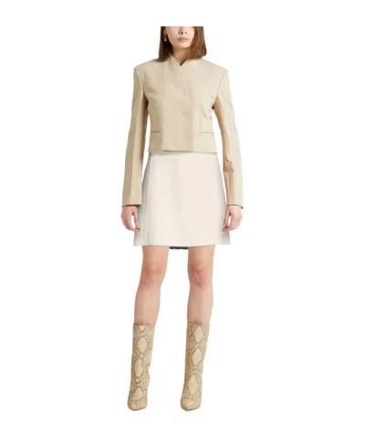 Max Mara Mini Skirts In Neutral