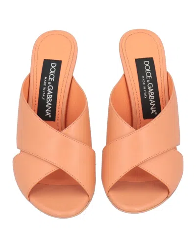 Dolce & Gabbana Solid Color Sandals In Pink
