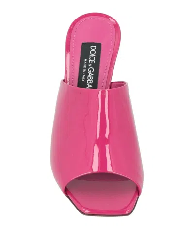 Dolce & Gabbana Solid Color Sandals In Pink