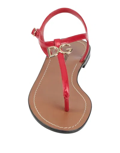 Dolce & Gabbana Solid Color Flip Flops In Red