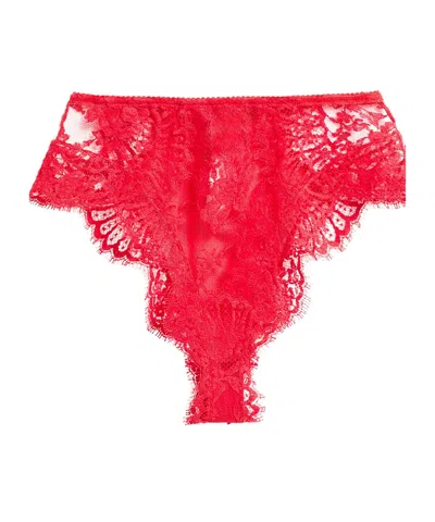 Dolce & Gabbana Solid Color Lace Briefs In Red
