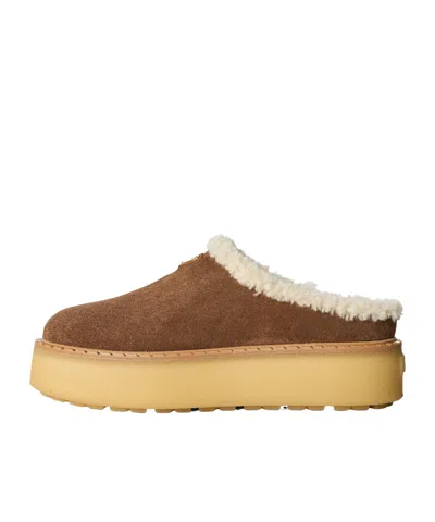 Prada Simple Mules In Brown