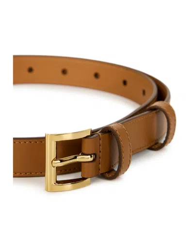 Prada Logo Belt In Brown