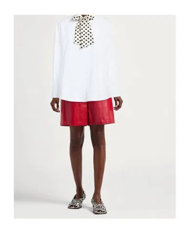 Maxco. Solid Colour Shirts  Blouses In White