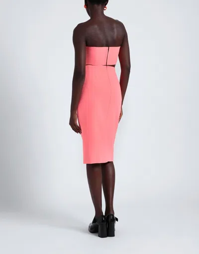 Maxco. Tops In Pink
