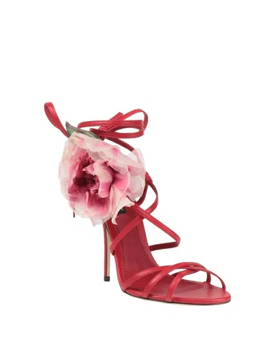 Dolce & Gabbana Solid Color Sandals In Pink