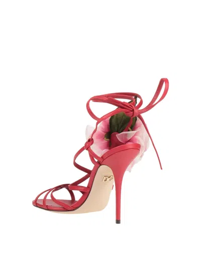 Dolce & Gabbana Solid Color Sandals In Pink