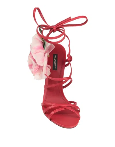 Dolce & Gabbana Solid Color Sandals In Pink
