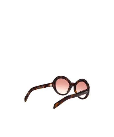 Prada Graduated Sunglasses In Brown