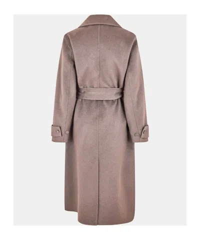 Joseph Belted Coat In Pink