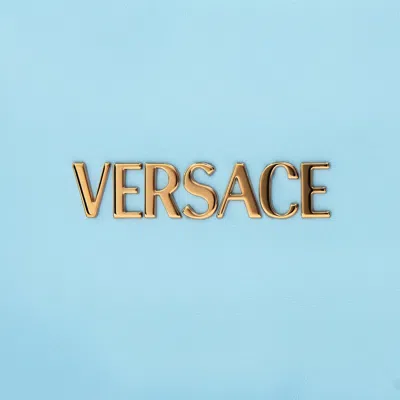 Versace Classic Handbag In Blue
