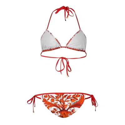 Dolce & Gabbana Printed Bikini In Multicolor