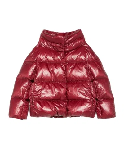 Herno Quilted Jacket In Burgundy