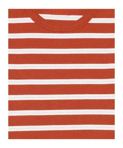 Closed Striped Rib-knit T-shirt In Multi