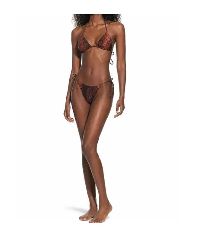 Jean Paul Gaultier Brown Polyester Elastane Bikini Set In Multi