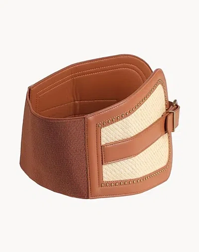 Maxco. High-waist Belts In Multi