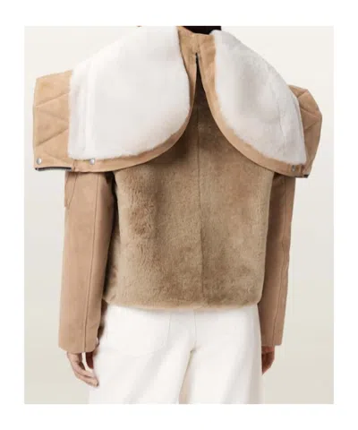Allsaints Dexter Collared Shearling Jacket In Brown
