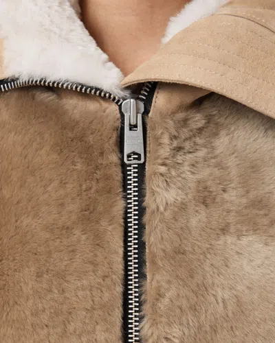 Allsaints Dexter Collared Shearling Jacket In Brown