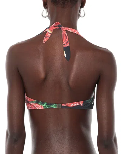 Dolce & Gabbana Printed Bikini Top In Multi