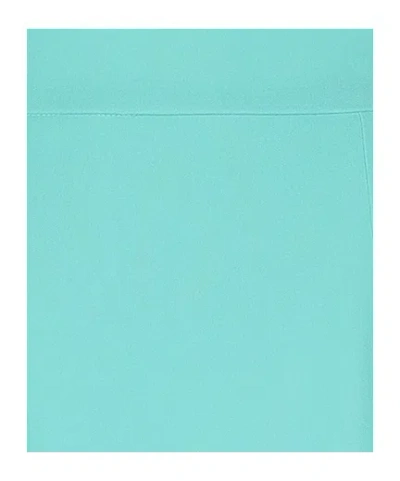 Dolce & Gabbana Solid Flared Skirt In Green