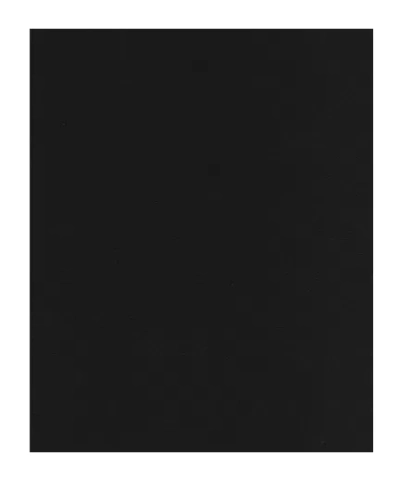 Max Mara Solid Color Sleeveless Top In Black