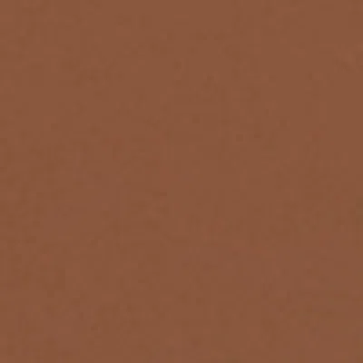Weekend Max Mara Leather Belt In Brown