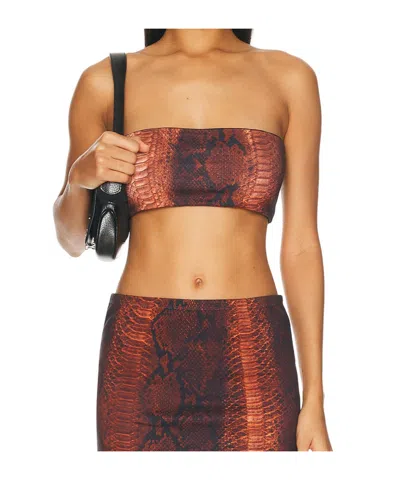 Jean Paul Gaultier Cotton Ribbed Printed Python Bra Top In Brown