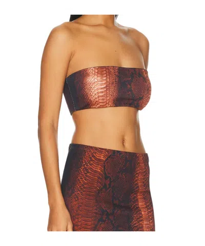 Jean Paul Gaultier Cotton Ribbed Printed Python Bra Top In Brown