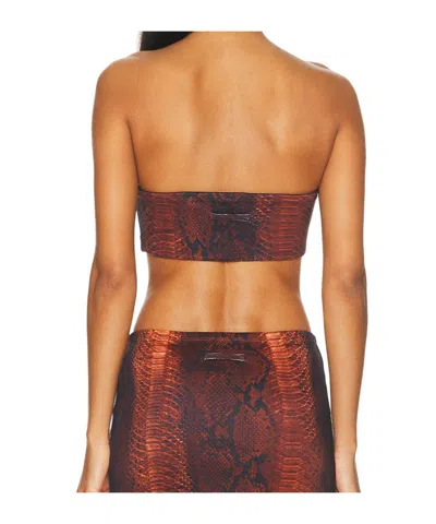Jean Paul Gaultier Cotton Ribbed Printed Python Bra Top In Brown