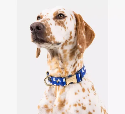 Kate Spade Navy Gingham Collar M/l In Multi