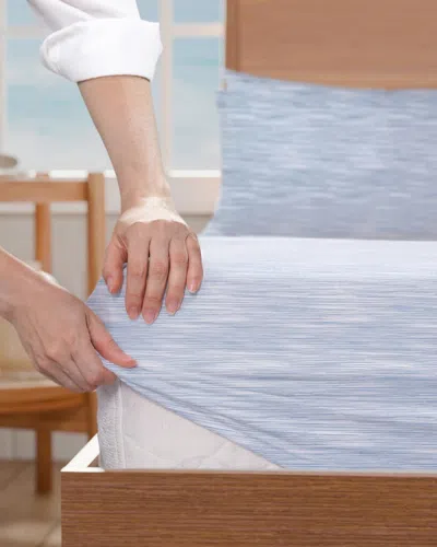Wph Distressed Stripe Sheet Set In Blue