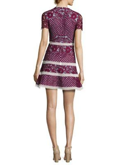 Shop Alexis Rustikan Embroidered Contrast Lace Mini Dress In Burgundy Mosaic