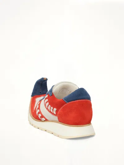 Loewe Dinosaur Sneaker Low In Multi