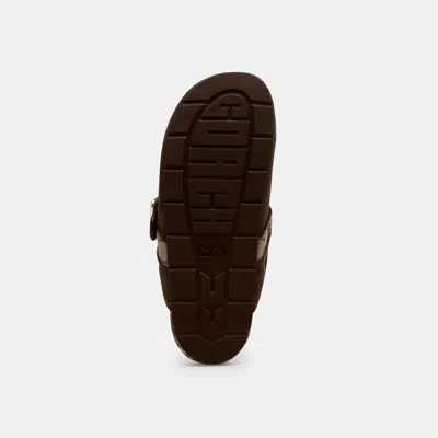 Coach Archival Buckle Clog In Multi