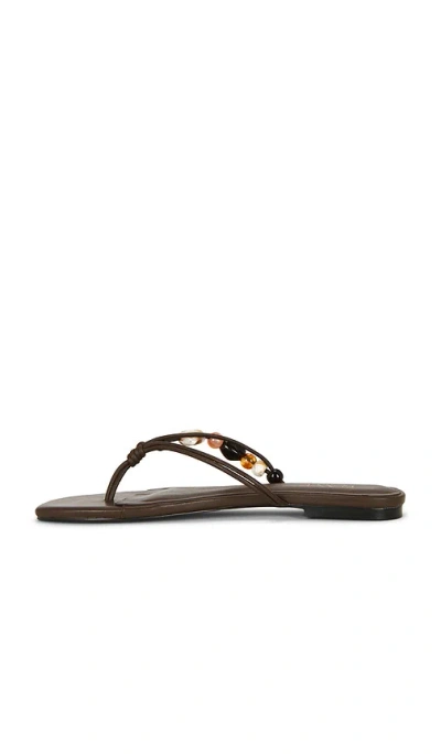 Raye Denise 샌들 In Brown