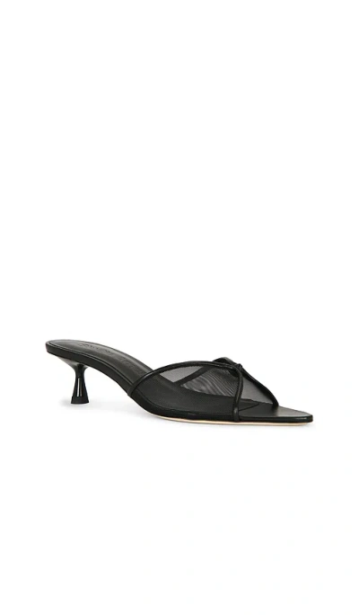 Studio Amelia Jacques 50  뮬 In Black