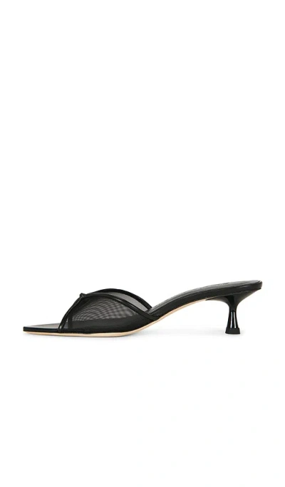 Studio Amelia Jacques 50  뮬 In Black