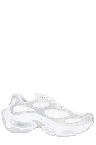 Ash White Dragon Leather Mesh Sneakers In White
