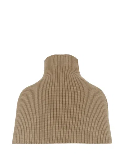 Sa Su Phi Ribbed-knit Roll-neck Cape In 뉴트럴
