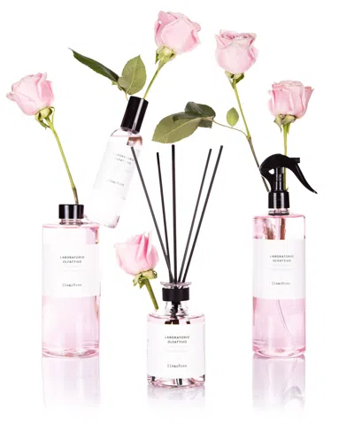 Laboratorio Olfattivo Clamorosa Reed Diffuser