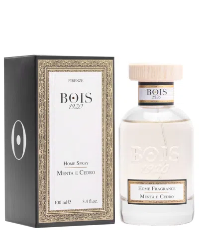 Bois 1920 Menta E Cedro Home Spray