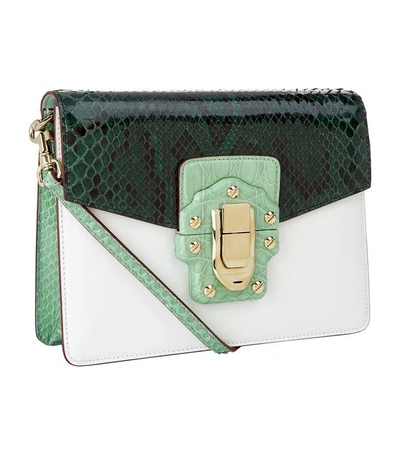 Shop Dolce & Gabbana Crocodile Python Shoulder Bag