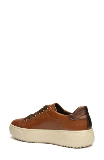 Ara Mikky Platform Sneaker In Brown