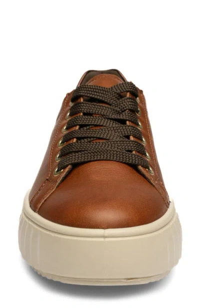 Ara Mikky Platform Sneaker In Brown