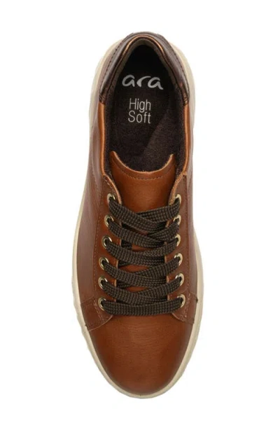 Ara Mikky Platform Sneaker In Brown
