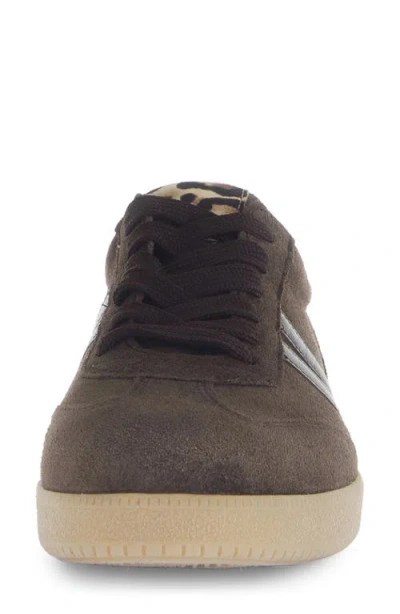Gabor Sneaker Lh Rfb Bf In Brown