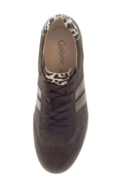 Gabor Sneaker Lh Rfb Bf In Brown