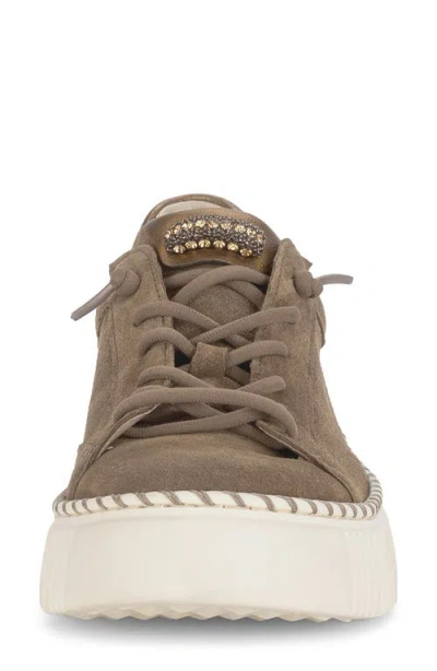 Gabor Platform Sneaker In Brown