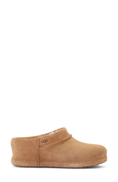 Ugg (r) Enwrap Genuine Shearling Lined Leather Clog In Brown