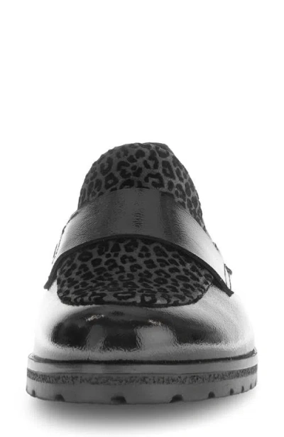 Gabor Payton Loafer In Black